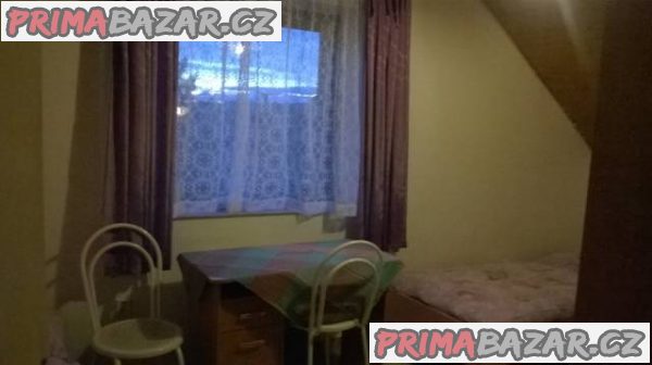 Pronájem v zaříz. podkr. místn. - Plzeň – fotografie 1