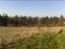 Pronajem pozemku Plzen - mesto