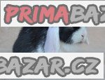 Králík mimi beránek zakrslý – fotografie 3