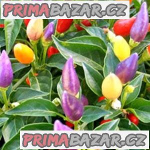 Chilli Numex Twilinght - semena