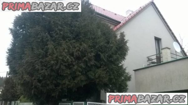 Nabízím pronájem bez realitky a kauce - Plzeň – fotografie 1