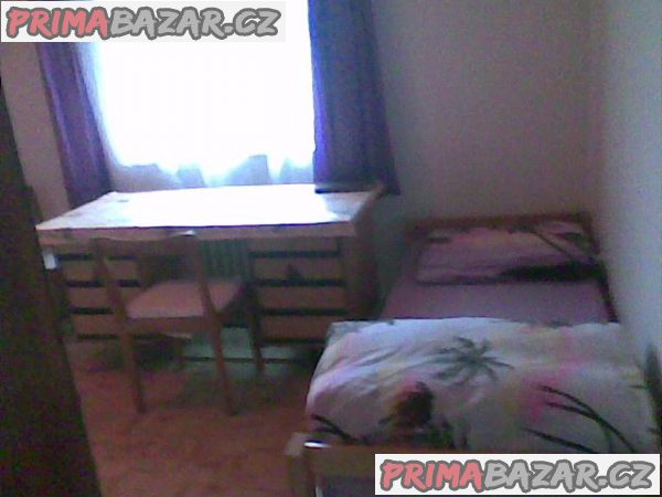 Nabízím pronájem bez realitky a kauce - Plzeň – fotografie 2