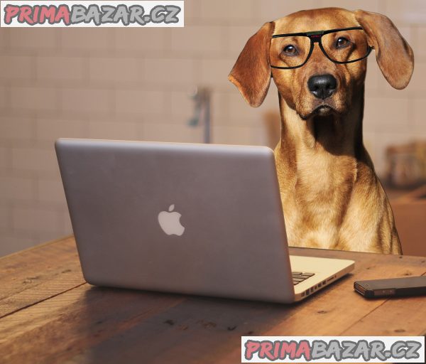 VÝHODNÝ WEBHOSTING PRO VŠECHNY  !!! – fotografie 1