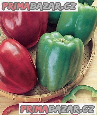 paprika California Wonder - semena