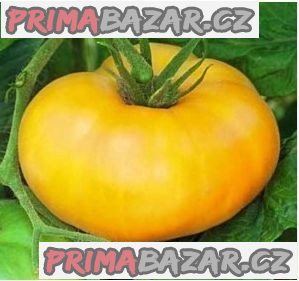 rajče Brandywine Yelow - semena