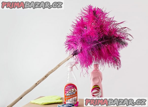 Nabízím služby chůvy, hospodyně v libereckém kraji – fotografie 1