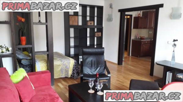 Pronájem/rental apartmán Praha 6 – fotografie 3