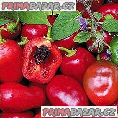 Chilli Rocoto Red - semena