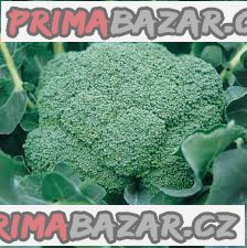 Brokolice Ramoso Calabrese Natalino - semena