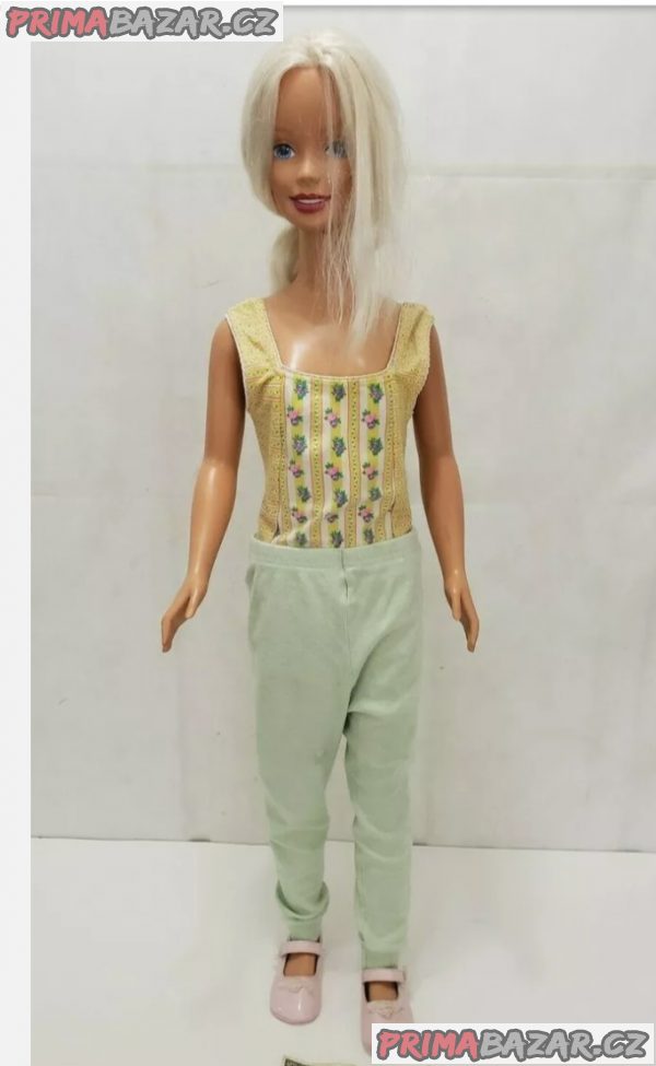 Sháním velké panenky Barbie – fotografie 2
