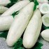 Okurka salátová Mezzo Lungo Bianco - semena