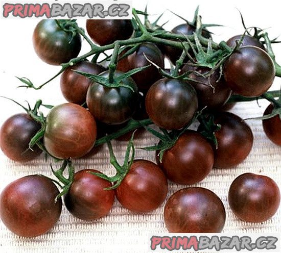 semena Rajče Black Cherry