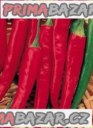 Chilli Cayenne Long Slim