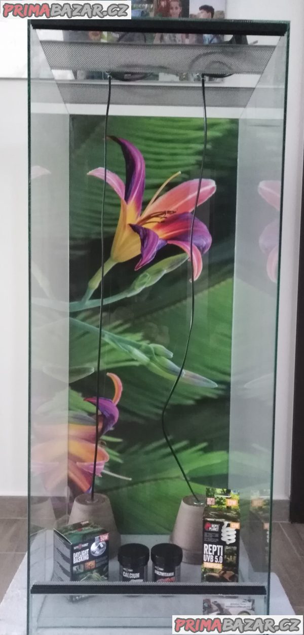 Chameleon Jemenský mláďe + Terárium nové 100x40x40 nepoužité, krmení , osvětlení, žárovky uvb a výhřev , substrát vitamíny , vápník . Předání Praha nebo Kralupy nad Vltavou. Eventuálně mohu dopravit – fotografie 1