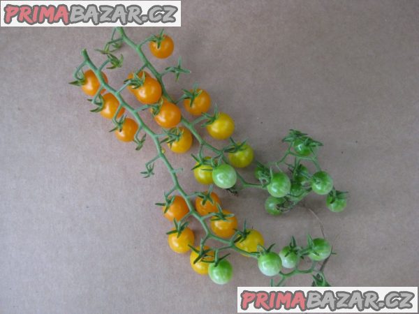 Rajče Currant Gold