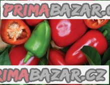 Paprika mini Rela – fotografie 1