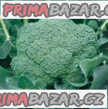 Brokolice Ramoso Calabrese Natalino – fotografie 1