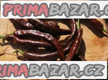 Chilli Cacho Negro