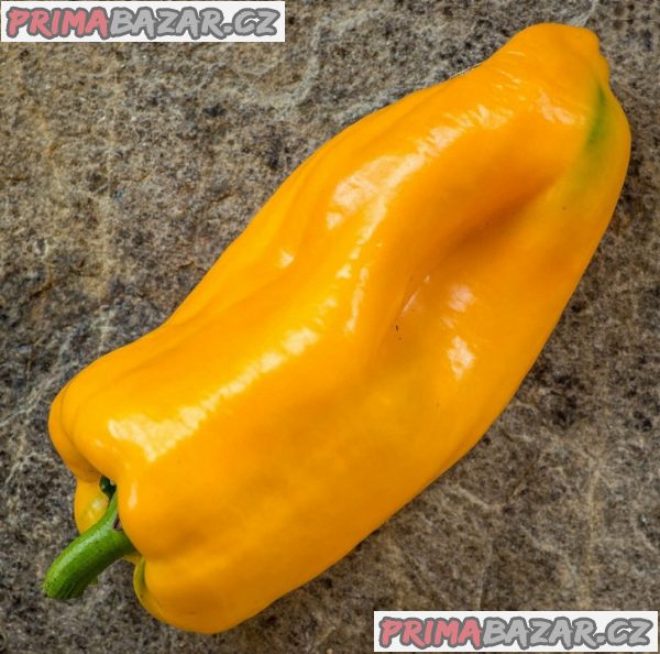 Paprika Patricie