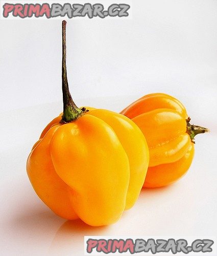 Paprička Chilli Habanero Madame Jeanette  Yellow - semena