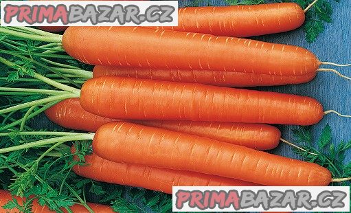 Mrkev Flakker – semena