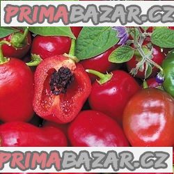 Chilli Rocoto Red - semena