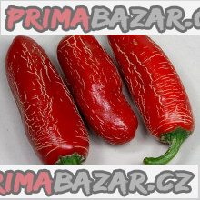 Sazenice chilli Numex Vaquero Jalapeňo
