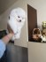 mikro pomeranian s pp -