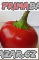 Chilli Caliegia Balení obsahuje 10 semen