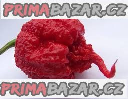 Chilli Carolina reaper Balení obsahuje 10 semen