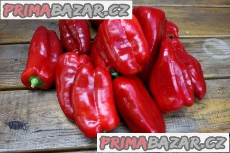 Paprika Fatima Balení obsahuje 30 semen