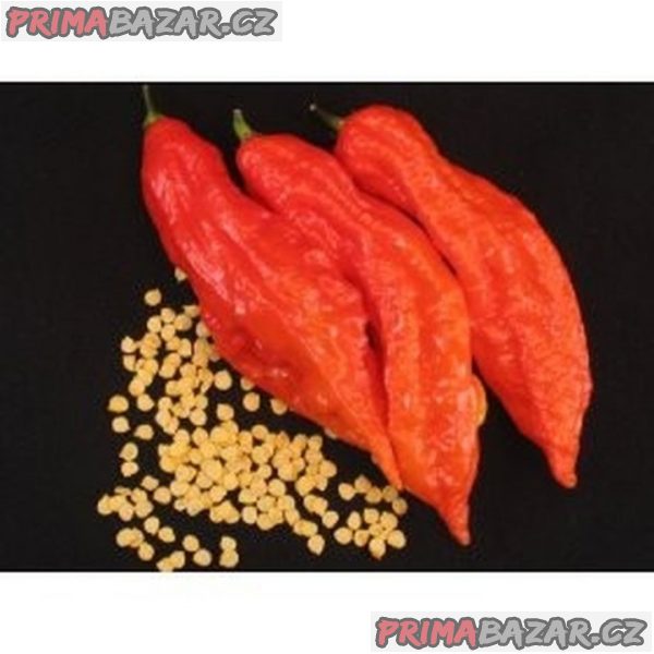 chilli Jolokia bhut red