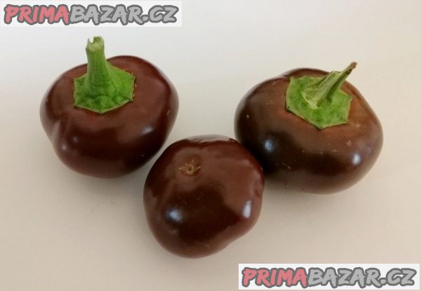 semena chilli paprik Cherry chocolate