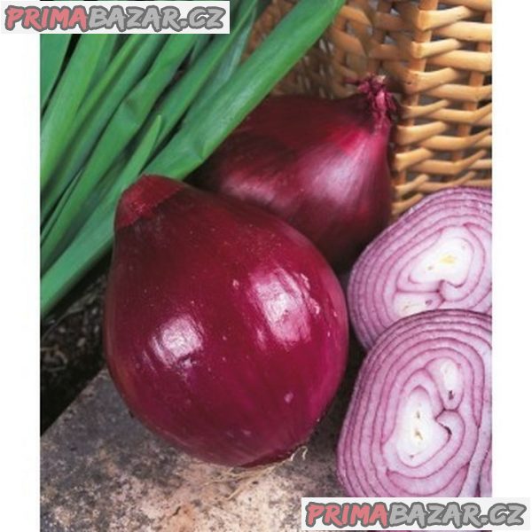 semena cibule Brunswick