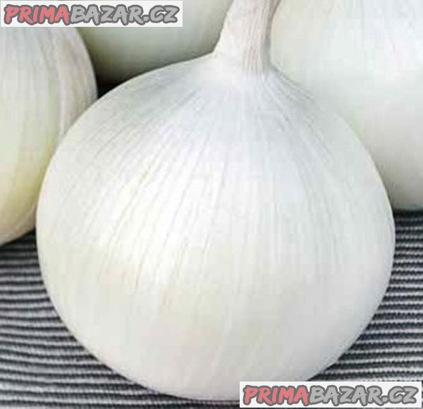 semena cibule Southport White Globe