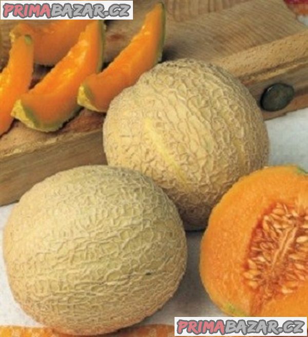 semena melounu Arancino