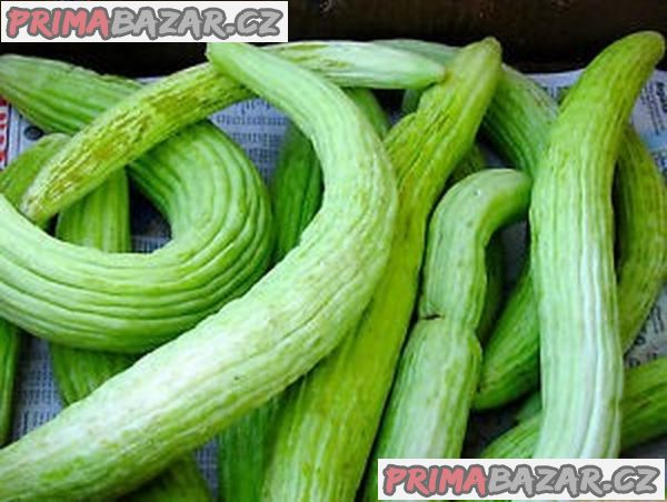 semena Arménská okurka Tortarello Verde Barese