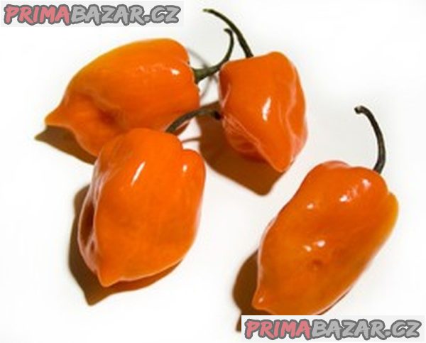 chilli Orange Habanero