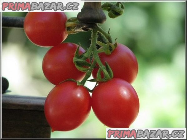 Rajče Grappoli D´Inverno