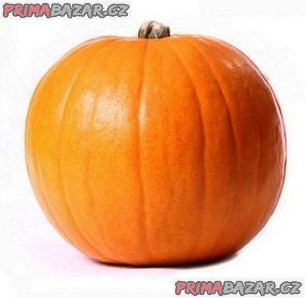 Dýně Quintale Seme Giallo