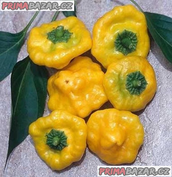 Chilli Jamaican Yellow