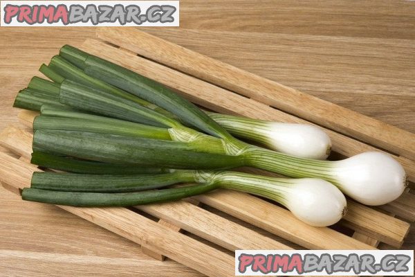 Cibule Aviv - semena