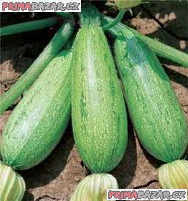 Cuketa Greyzini