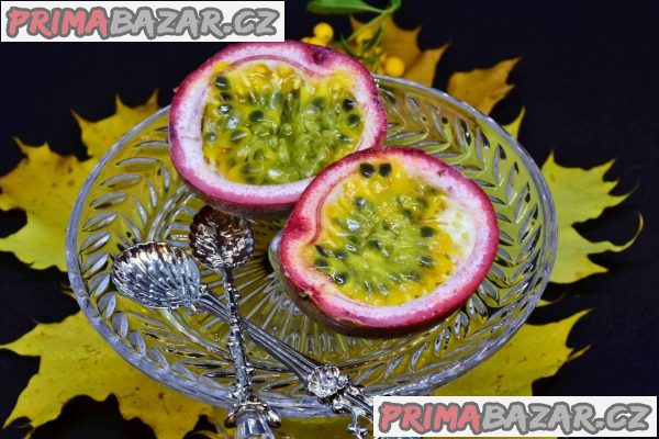 Sazenice Passiflora edulis - mučenka jedlá vel. cca 20-30 cm – fotografie 2