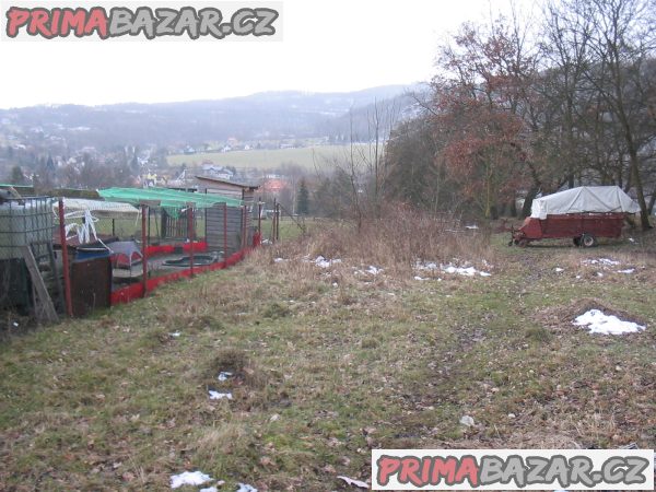 Prodáme pozemek Jílové u Děčína    /psč 407 01 / – fotografie 1