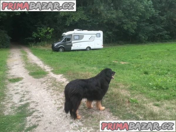 MERCEDES HYMER MLT 580 2014 – fotografie 6