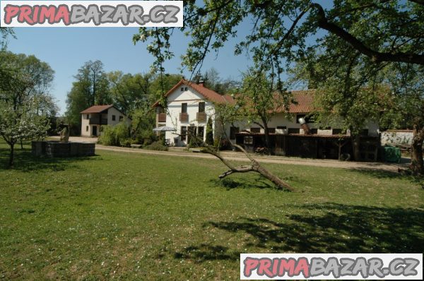Asistentka, hospodyně a práce u koní – fotografie 1