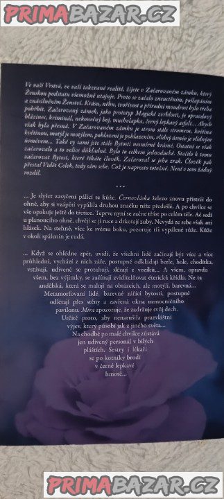 Srdce je nade vše zlatý drak – fotografie 2