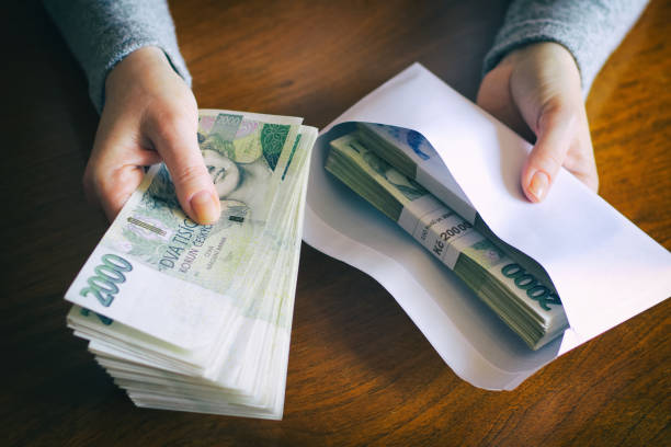 Pasivní příjem s reinvesticí! – fotografie 1